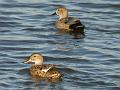 img_3945b