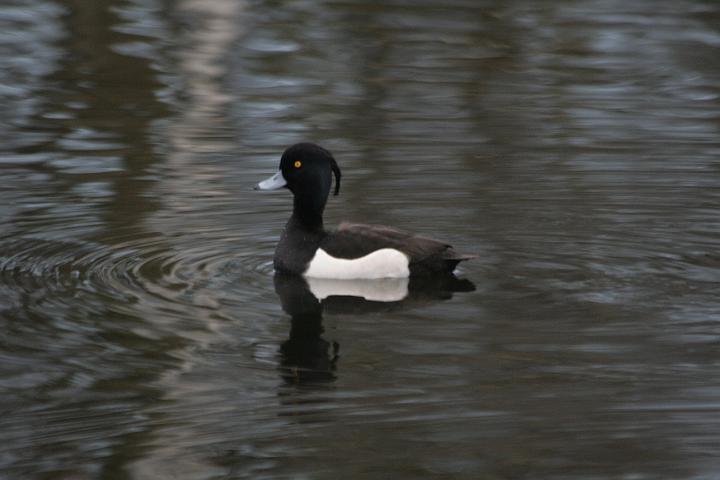 IMG_2786.JPG