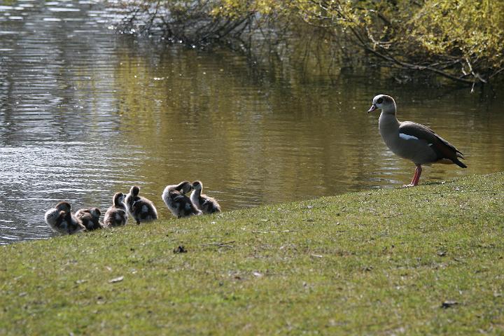 IMG_1864.JPG