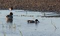 IMG_2576