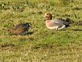 img_3882b