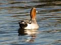 img_3952b