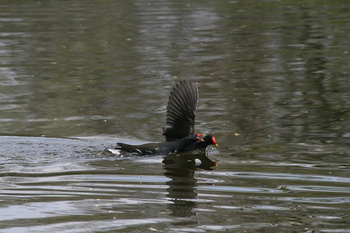 IMG_2551.JPG