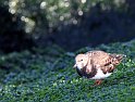 IMG_3335